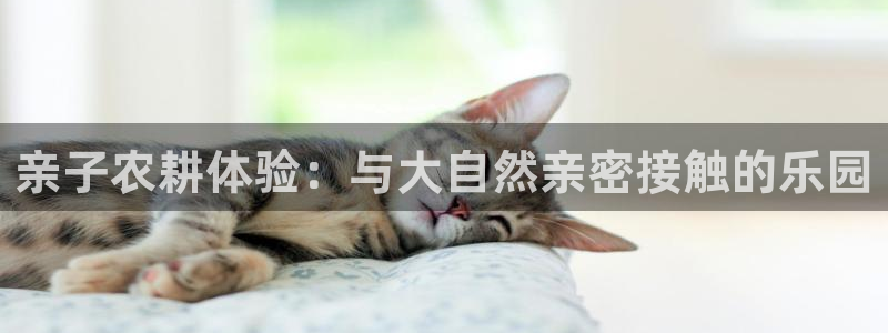 天辰娱乐海洋