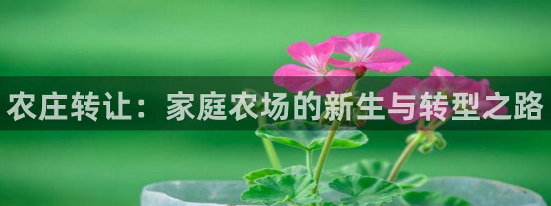 天辰说娱乐