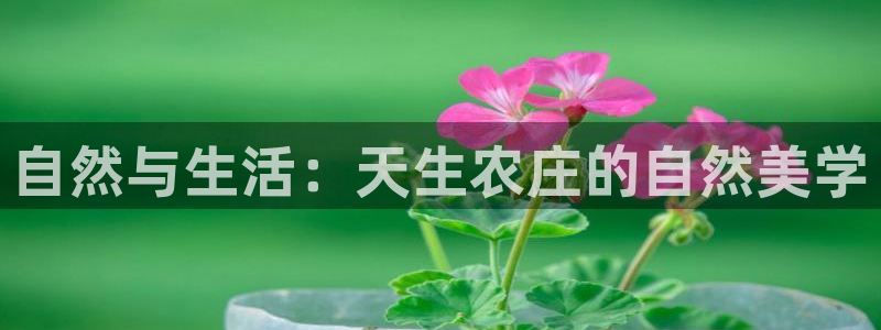天辰娱乐557448
