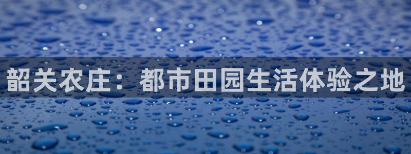 天辰娱乐官