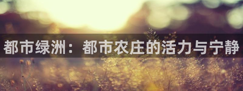 天辰娱乐885544