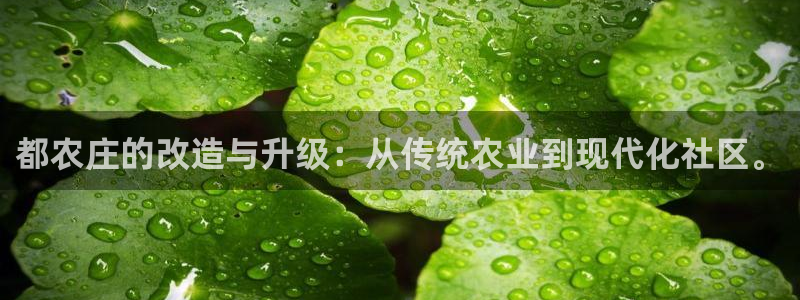 天辰宝宝娱乐