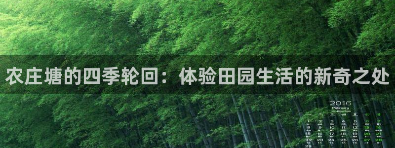 南充天辰娱乐