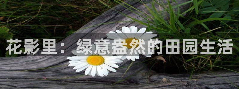 天辰娱乐主管