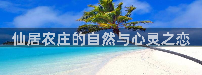 手机上怎么下载天辰娱乐