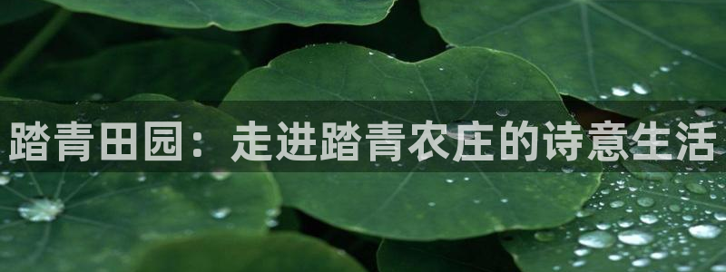 辰天娱乐用品