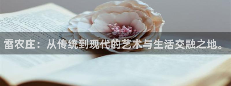 天辰娱乐小姐