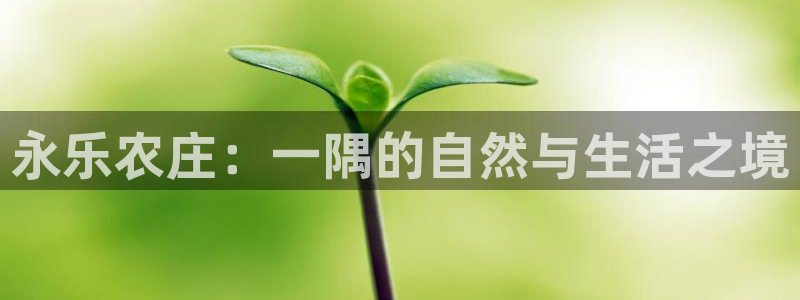 天辰娱乐登录网址