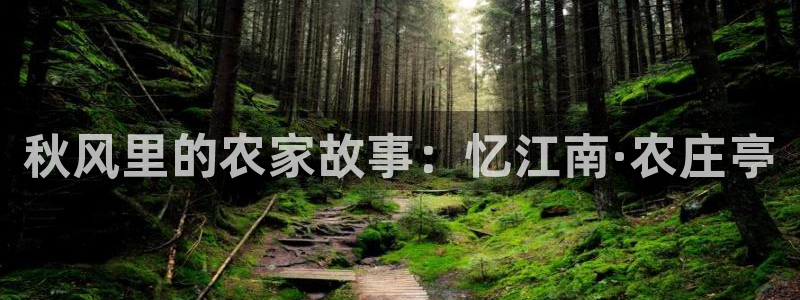 天辰娱乐675138