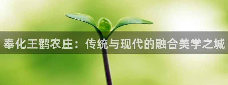 天辰娱乐厕所