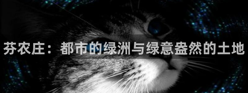 天辰娱乐-q