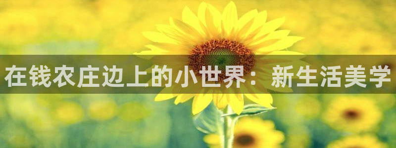天辰娱乐游戏平台怎么样