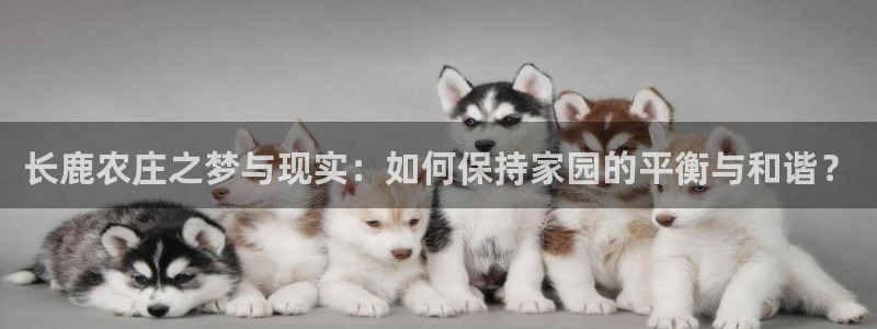 天辰娱乐游戏