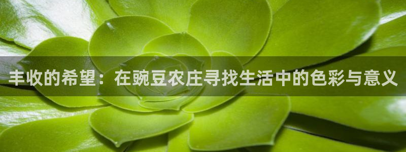 天辰娱乐39596