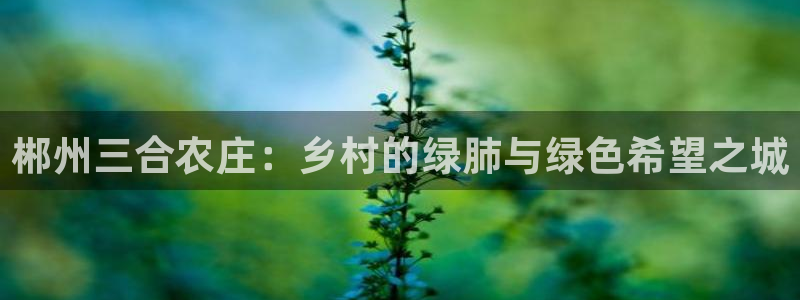 天辰娱乐游戏