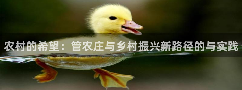 天辰娱乐728567