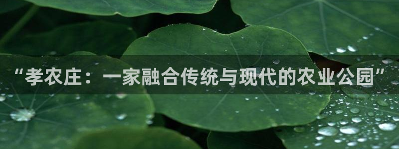 天辰娱乐元宝