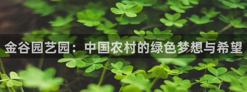 天辰娱乐平台靠谱么