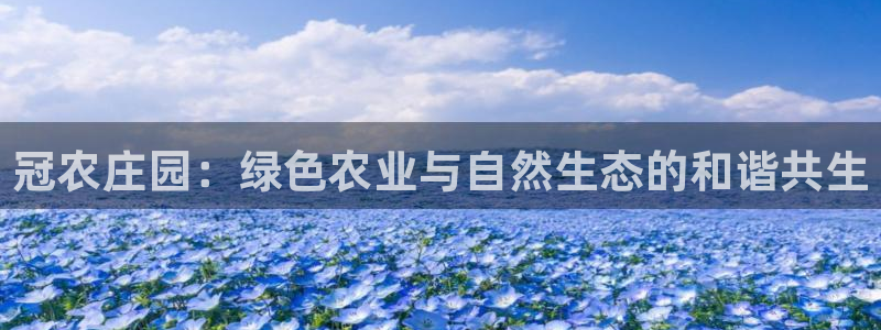 天辰娱乐下载地址