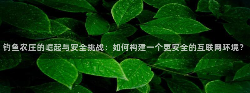 天辰团队贝高娱乐