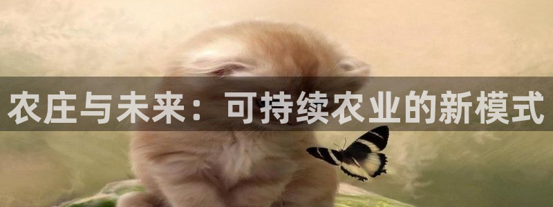 天辰娱乐平台娱乐注册