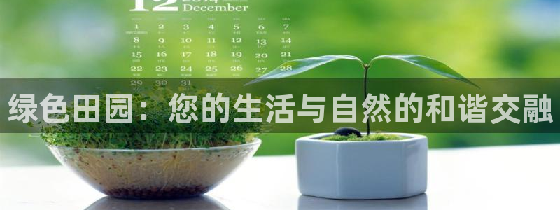 大庆天辰娱乐