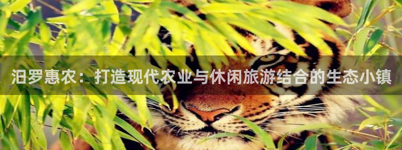 天辰娱乐728567
