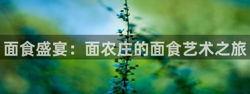 北京天辰娱乐