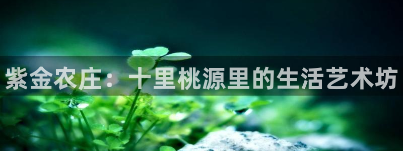 天辰娱乐在哪