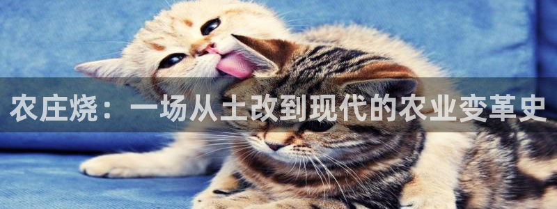 天辰娱乐新
