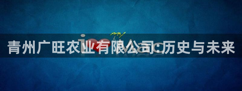 天辰团队贝高娱乐