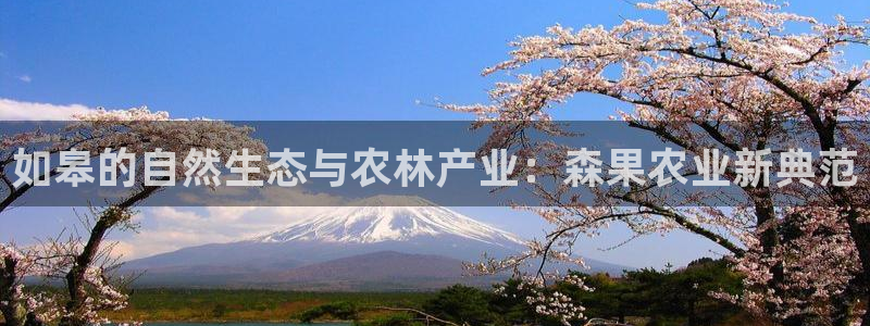 天辰娱乐平台注册