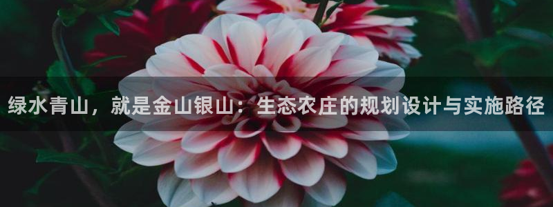 天辰娱乐平台地址