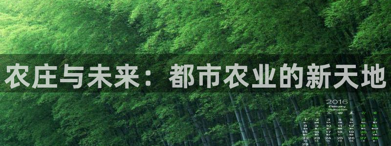 天辰娱乐ttf