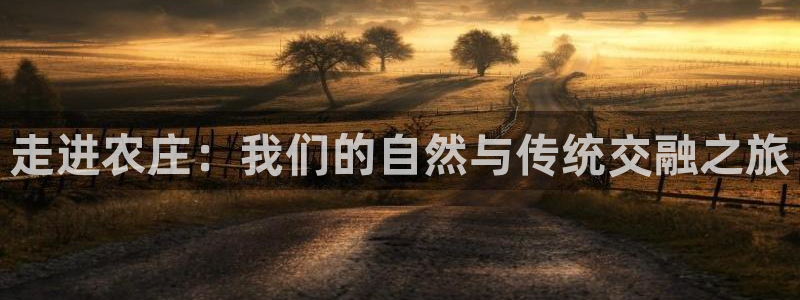 天辰宝娱乐