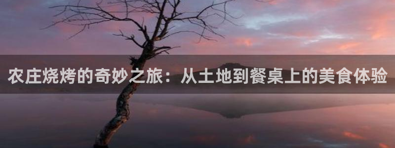 天富娱乐天辰娱乐