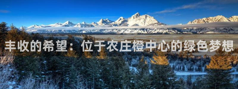 天辰娱乐官方网