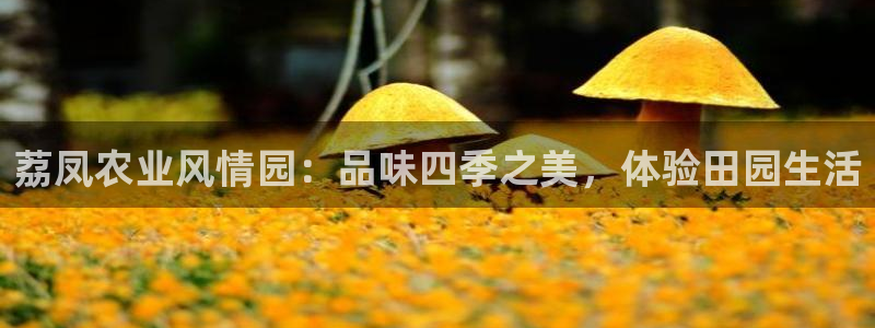 天辰娱乐平台登录账号