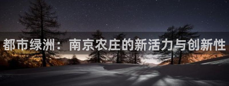 天辰团队贝高娱乐