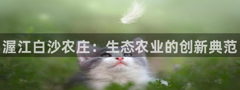 天辰 娱乐 注册