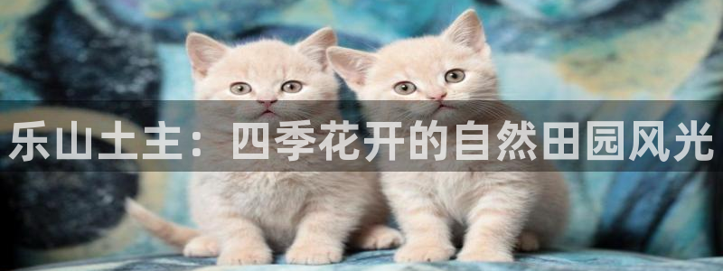 天辰娱乐登录网址