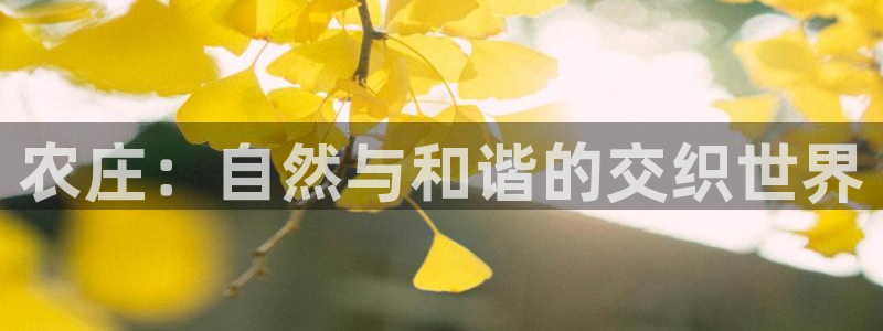 天辰娱乐平台地址