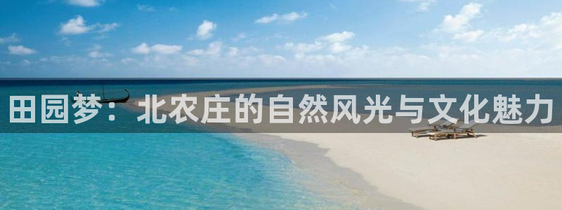 天辰娱乐 . 鱼刺