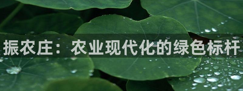 天辰娱乐官方网