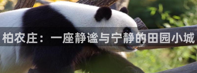 天辰娱乐官方网