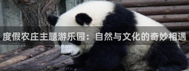 天辰娱乐跑的快