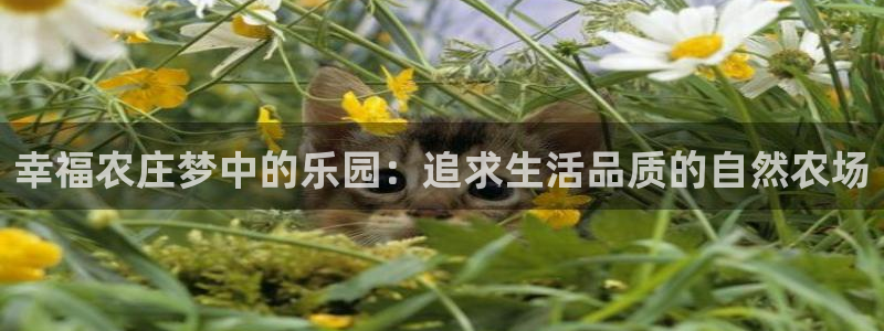 天辰娱乐平台靠谱么