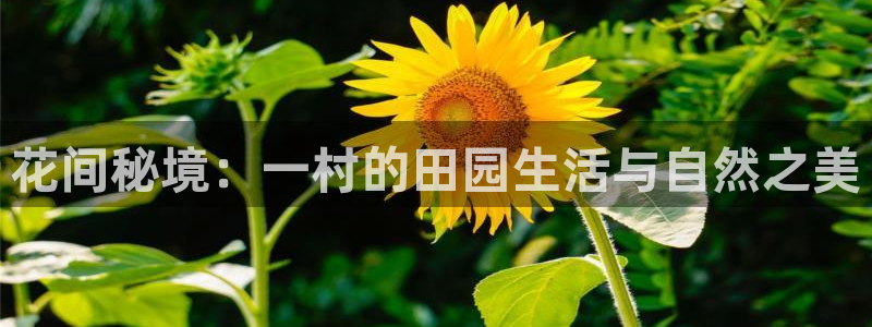 天辰娱乐下载地址