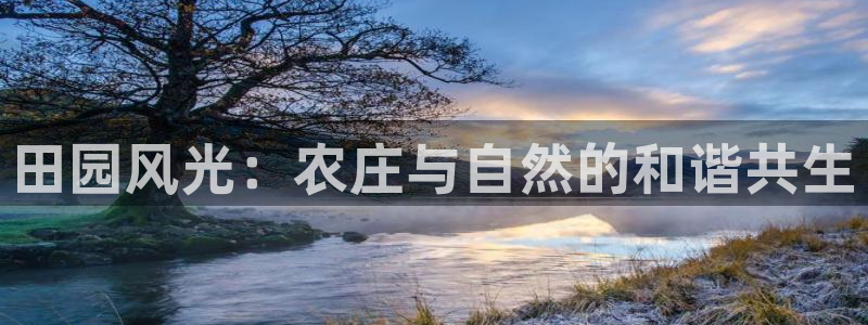 天辰娱乐官网平台入口