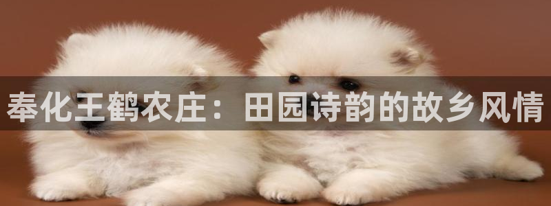 天辰娱乐 天辰平台